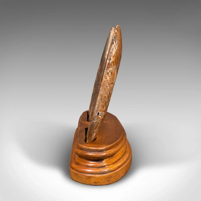 1970s 1970s Vintage Decorative Halved Ammonite, African, Fossil, Display Plinth, Cretaceous For Sale - Image 5 of 13