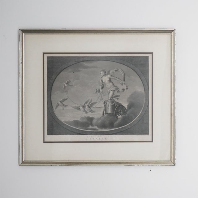 Elegant antique Italian engraving titled “Venere” (Venus), depicting the Roman goddess of love riding a chariot drawn by...