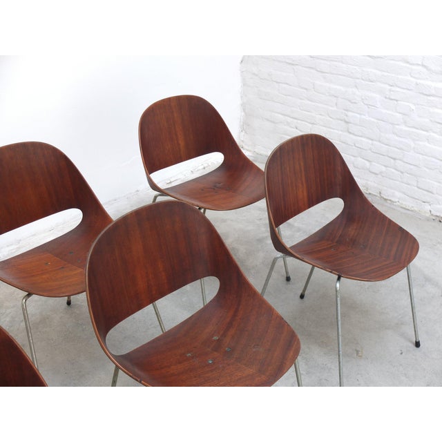 Sl58 Chairs by Léon Stynen, 1958, Set of 8 For Sale - Image 12 of 18