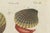 Blue Bertuch, Shipworm and Sea Pen, 1800, Engraving For Sale - Image 8 of 10