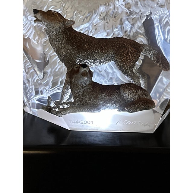 Kitty Cantrell “Devotion” Limited Edition Lucite & Pewter Wolf Sculpture With Lighted Base For Sale - Image 14 of 17