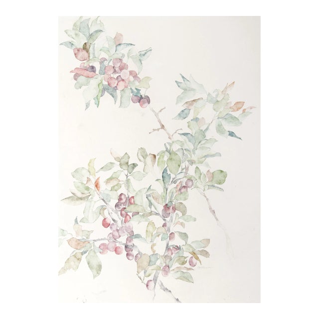 Plums, Carl Bergman For Sale