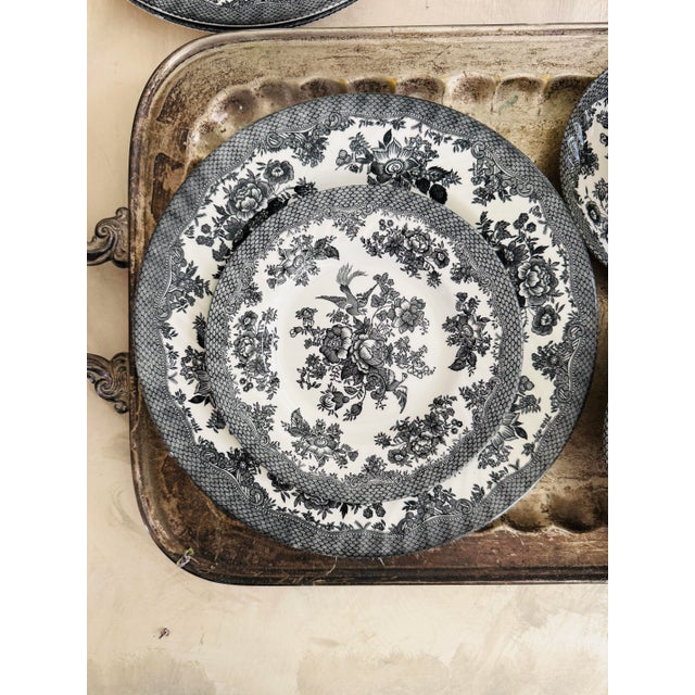 1980s Set of Nineteen (19) Barratts England Black Transferware Dinnerware Set, Asiatic Pheasant Style, Dinner Plates Bowls Teacups Saucers For Sale In Chicago - Image 6 of 12