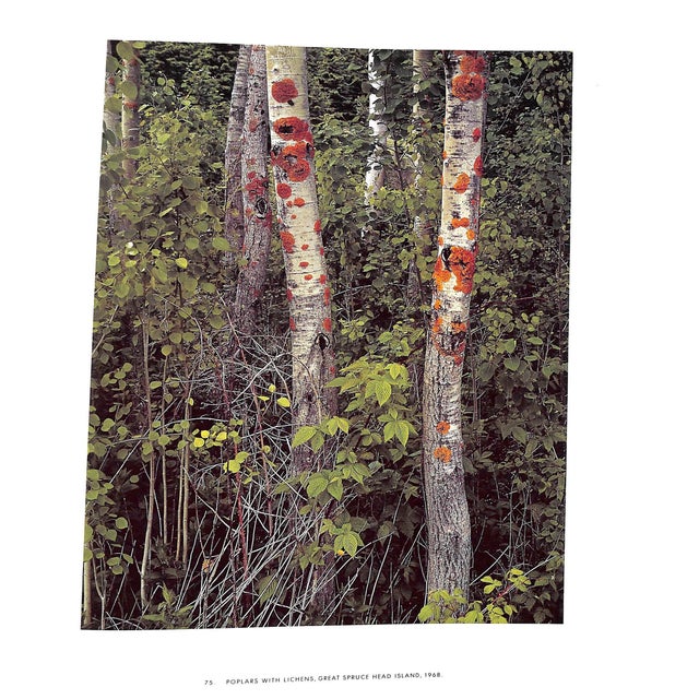 "Maine" 1986 Porter, Eliot For Sale - Image 11 of 11