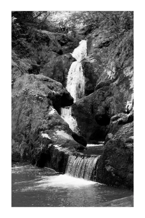 2021 "Zen Forest Waterfall" Black and White Landscape Giclée Print