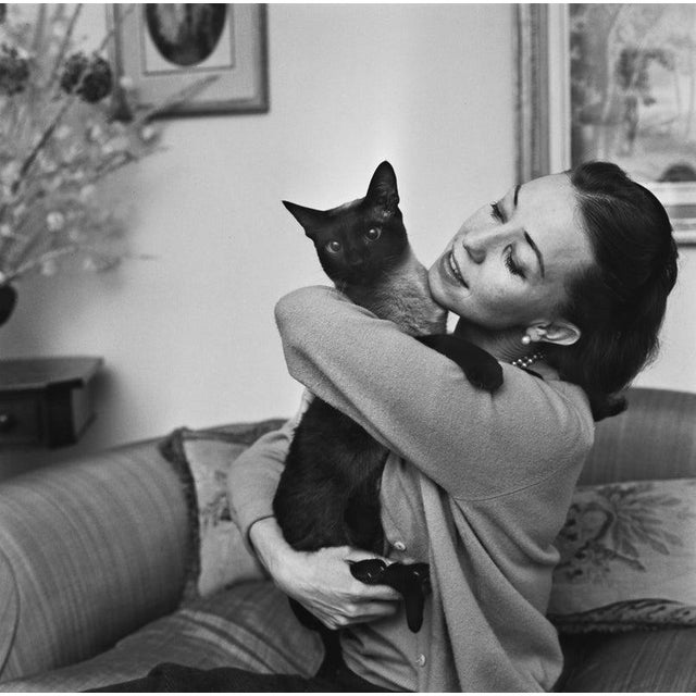 Nadia Nerina South African dancer Nadia Nerina (1927 - 2008) with a Siamese cat, UK, 7th February 1964. (Photo by Evening...