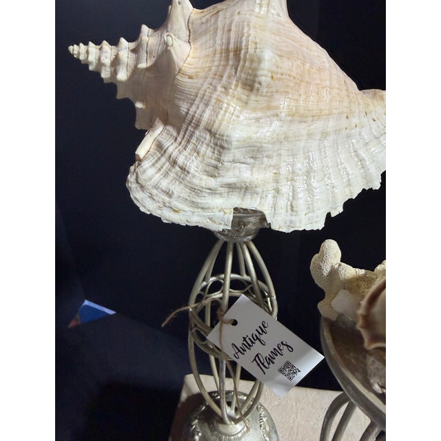 Celestial Meets the Sea Shell Topped Candleholders, a Pair-Coastal Art Sculpture For Sale - Image 4 of 6