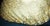 Gold Mid-Century Murano Gold Flecked Conch Wall Light, Italy, 1960s For Sale - Image 8 of 9