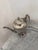 Early 20th Century Vintage Silver-Plated Coffee Pot With G Initial For Sale - Image 5 of 5