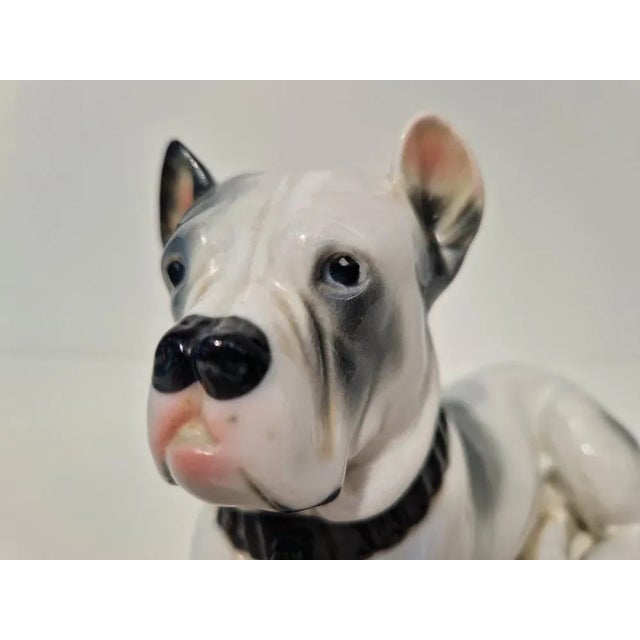 1930s Porcelain Molosser Figure from Pfeffer Gotha, Thuringia, 1934 For Sale - Image 5 of 7