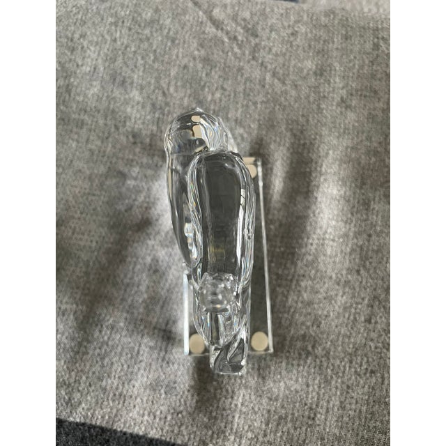 Baccarat Crystal Grazing Deer Figurine For Sale In Miami - Image 6 of 6