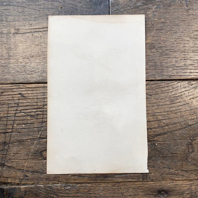 French Antique 18th Century "La Lavandiere" Bird Engraving Hand Colored Signed Artwork For Sale - Image 10 of 10