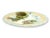 Late 19th century French majolica Barbotine plates from the Salins-les-Bains region of eastern France, featuring an...