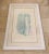 A unique pastel mixed media work of art by Mary Vickers. Beautiful slender woman in a long slip dress with a Peacock...