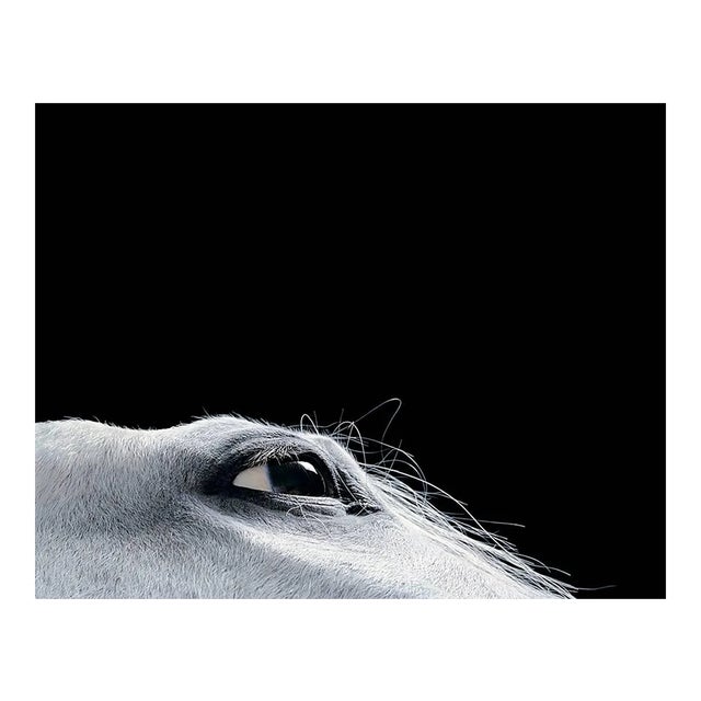 Horse Croc, Abstract Photograph, Black and White, 2006 For Sale