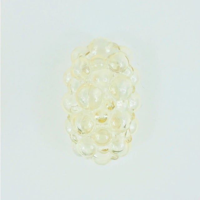 Amber Mid-Century Amber Bubble Glass Wall Lamp by Helena Tynell for Limburg, Germany, 1960s For Sale - Image 8 of 9