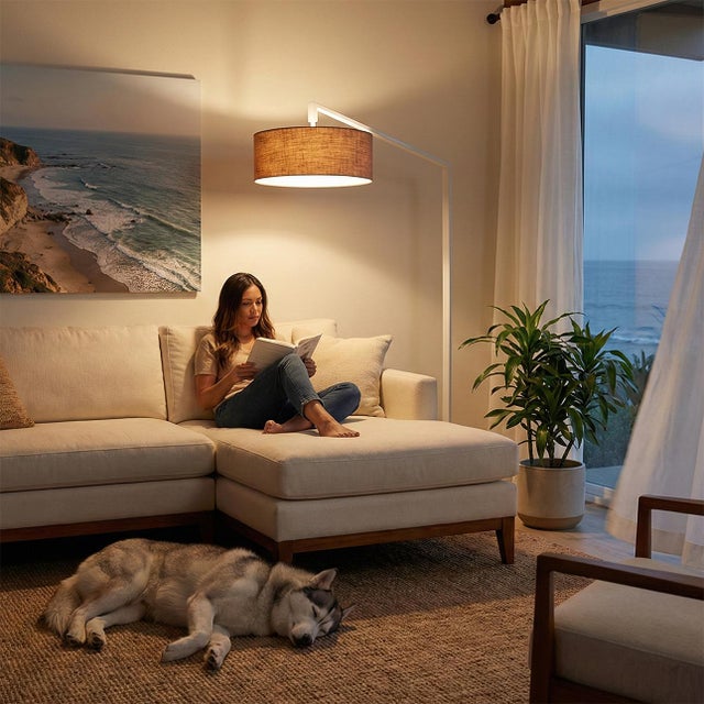 The Stretch Arc Lamp is a Kirby Groce-designed modern arc lamp with a white steel body and a Sturdy base, perfect for...