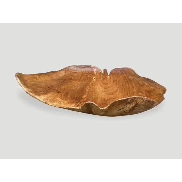 Tribal Andrianna Shamaris Minimalist Teak Wood Sculptural Bowl For Sale - Image 3 of 18