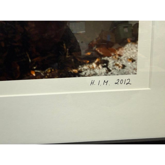 Black Elsa Hahne “Halloween: Ingrid Lucia" Flying Neutrinos Photograph 1 of 100, Signed For Sale - Image 8 of 12