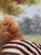 2000 - 2009 Vintage Original Zebra Oil Painting in Gilt Frame - Mother and Child Scene For Sale - Image 5 of 8