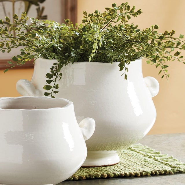 At first glance, the Wellon Cachepot looks like your average vessel, but the organic rim and curvy shape make it an...