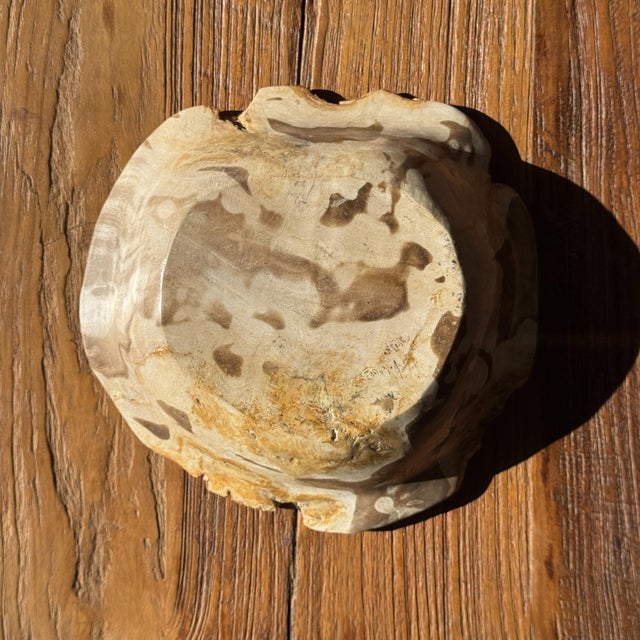 Round Beige Petrified Wood Bowl, 1980s For Sale - Image 4 of 7