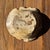 Round Beige Petrified Wood Bowl, 1980s For Sale - Image 4 of 7