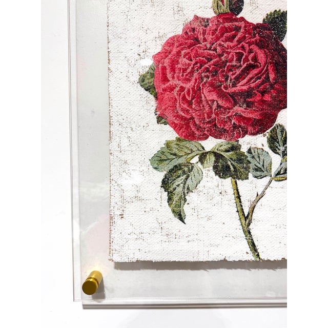 Red Garden Rose - Hand Textured Vintage Rose For Sale - Image 6 of 6
