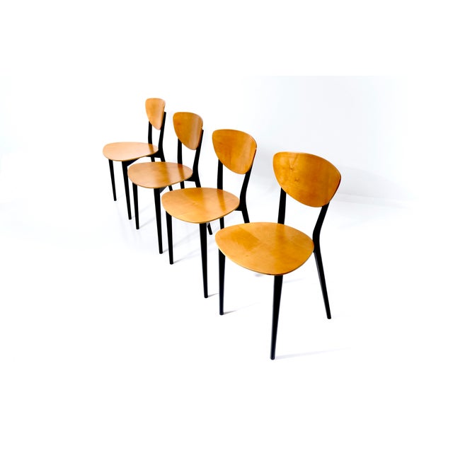 Vintage Swiss Chairs by Kurt Thut, 1953, Set of 4 For Sale - Image 12 of 18