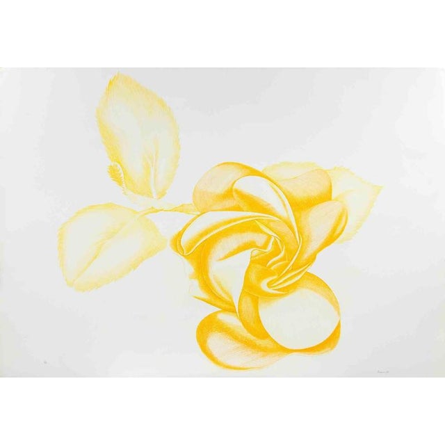 Yellow Rose is a color etching on paper, realized by the Italian artist Giacomo Porzano (1925-2006). Hand-signed, dated...