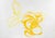 Yellow Rose is a color etching on paper, realized by the Italian artist Giacomo Porzano (1925-2006). Hand-signed, dated...
