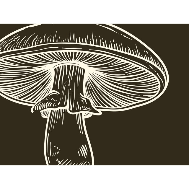 Contemporary Mushrooms Set of Two Prints Colorway Dark Brown 16 X 20 In For Sale - Image 3 of 4