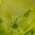 Large Abstract Yellow Green Murano Glass Vase, Italy, 1970 For Sale - Image 12 of 18
