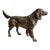 Vintage Large Bronze Dog Statue For Sale