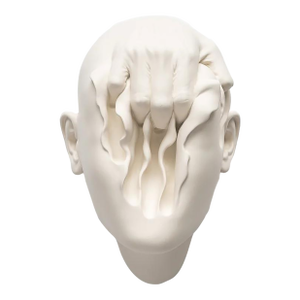 Searching for Spring by Johnson Tsang