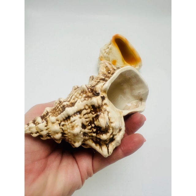 Ceramic Vintage Ceramic Shells, a Pair For Sale - Image 7 of 7