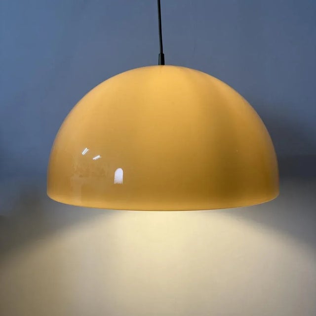 Brown Mushroom Pendant, 1970s For Sale - Image 11 of 18