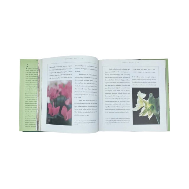 1990s Forcing Etc the Indoor Gardener's Guide by Katherine Whiteside Book 1999 For Sale - Image 5 of 12