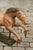 Metal Vintage 1940s Folk Art Painted Iron Child Riding Horse Mounted on Custom Base For Sale - Image 7 of 12