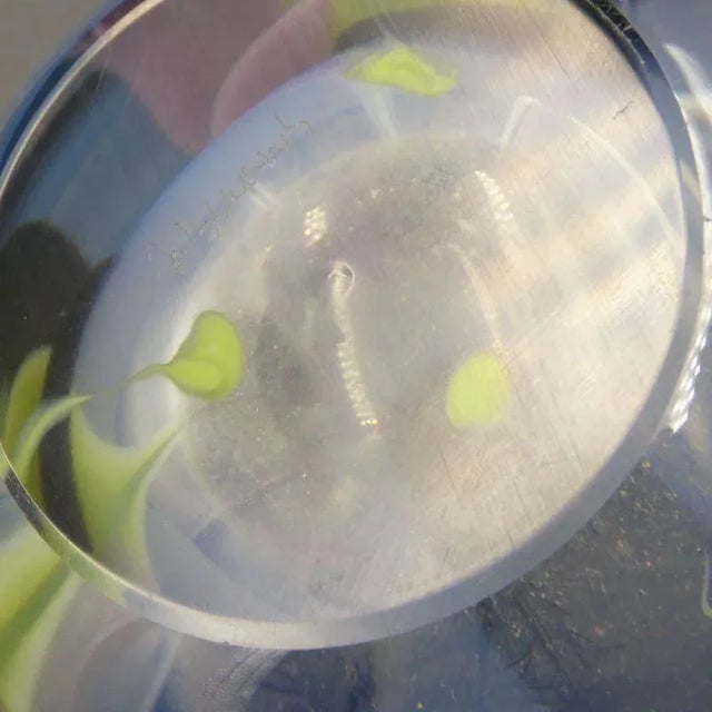 Mouth Blown Vase by Jindra Beránek, 1970s For Sale - Image 8 of 10