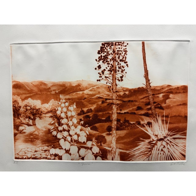 "Yuca " Original Limited Edition Mezzotint by G. H. Rothe Hand signed, titled & numbered by the artist Image Size: 12" x...