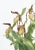 Large Orchid Giclee Prints Hand-Retouched by Angela Mirro - Set of Three Framed Prints - For Sale - Image 14 of 18