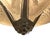 Silver Art Deco Pendant Light from Verrerie d'Art Degué, 1925 For Sale - Image 8 of 12