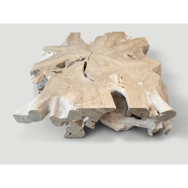 Andrianna Shamaris Monumental Bleached Teak Wood Organic Root Coffee Table For Sale - Image 13 of 18