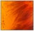 Figurative Serengeti Sunset Lion, Adam Scott Rote For Sale - Image 3 of 5