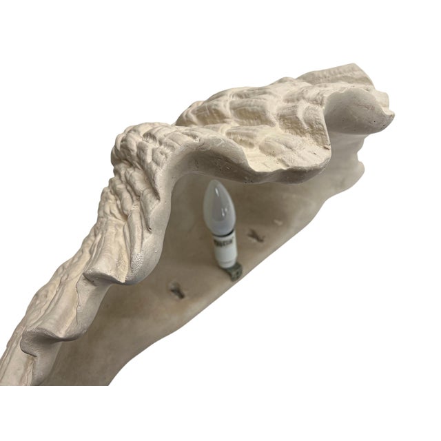 Large Vintage Plaster Organic Sea Shell Wall Light, 1970s For Sale - Image 6 of 10