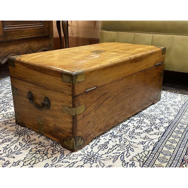 Early 20th Century Camphor Wood Chest For Sale - Image 9 of 14