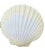 Vintage Real Scallop Shell Serving Plates/Bowls a Set of 6 For Sale - Image 10 of 12