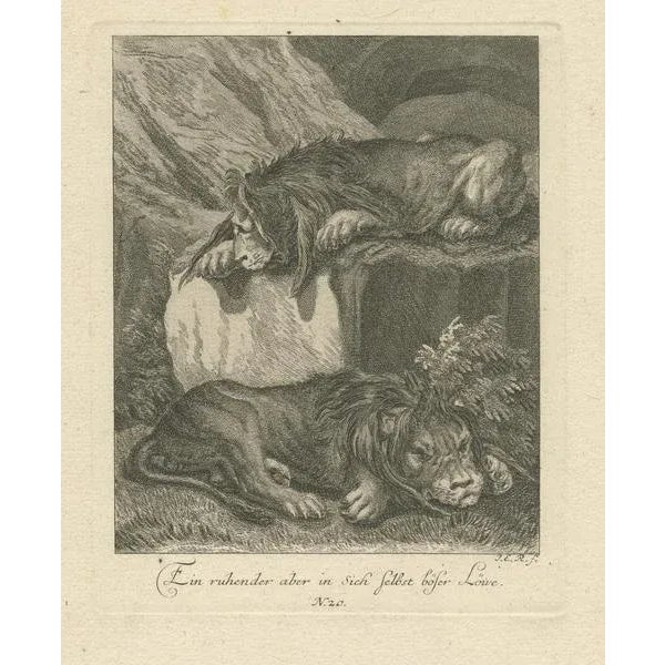 Ridinger, Two Lions Resting, 1738, Print For Sale - Image 3 of 6
