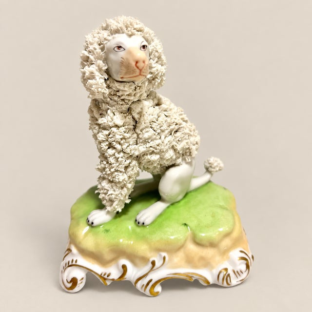 Antique Dresden Potschappel Carl Thieme porcelain poodle figurine in good condition. Hand painted and features spaghetti...